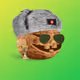 121