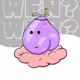 204