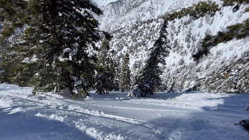 Item #1000000000000000003 Media