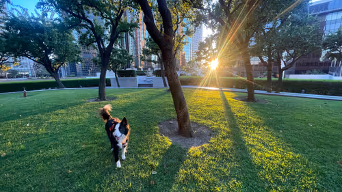 Item #5000000000000000000 Media