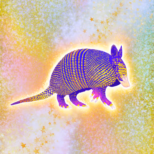 Shiny Armadillo