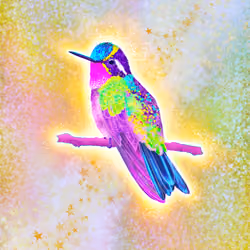 Shiny Purple Throated Mountain Gem