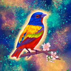 Painted Bunting