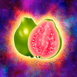 Guava