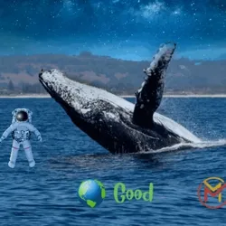 Good 2_5 