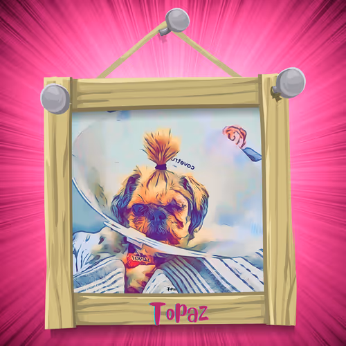 Item #1 Media