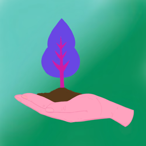 Avax Sapling #522