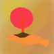 229