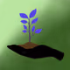 366