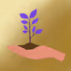 714