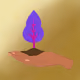 41