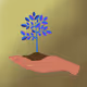 36
