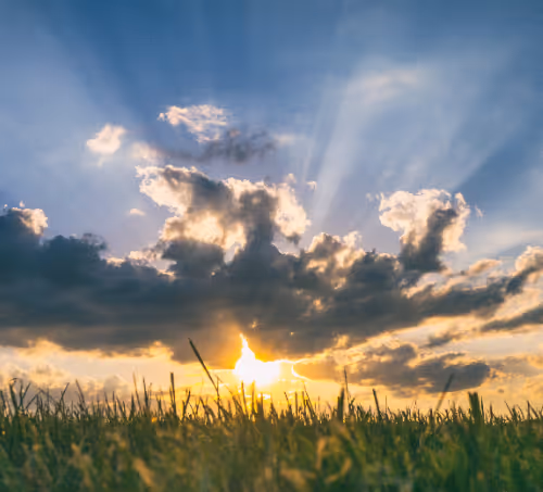 Sun