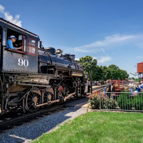 TRAIN