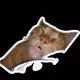 Arbbbyzer