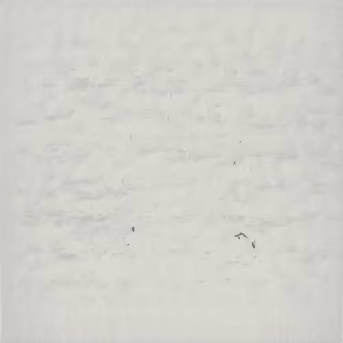117