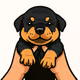 MU Pups