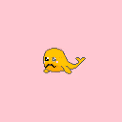 202