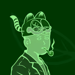 31
