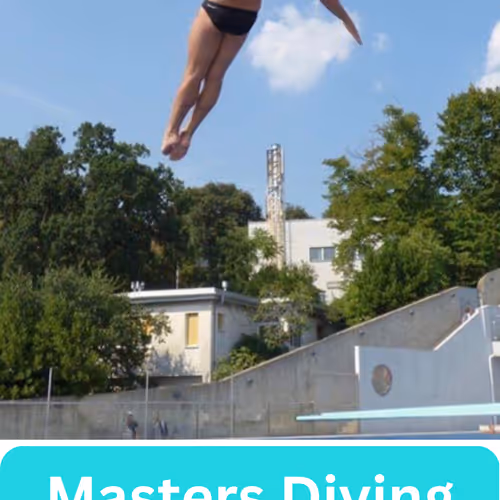 World Master Diving Series
