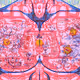 The Art of X-Rayed