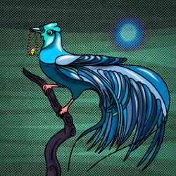 Black Flag Bird of Paradise