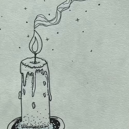 Blue Foxes Collection