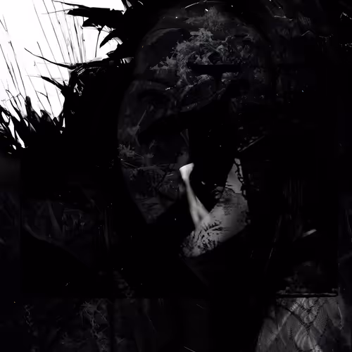 quexarcadio's Collection