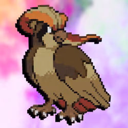 #263