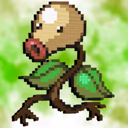 #497