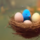 Bird Nest V2