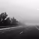 Black and White collection