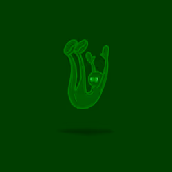 507