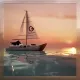 Open Ocean X MintDAO