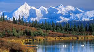 TEST 4