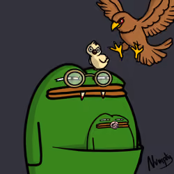 Pepe Portraits 9159