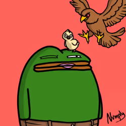 Pepe Portraits 9118
