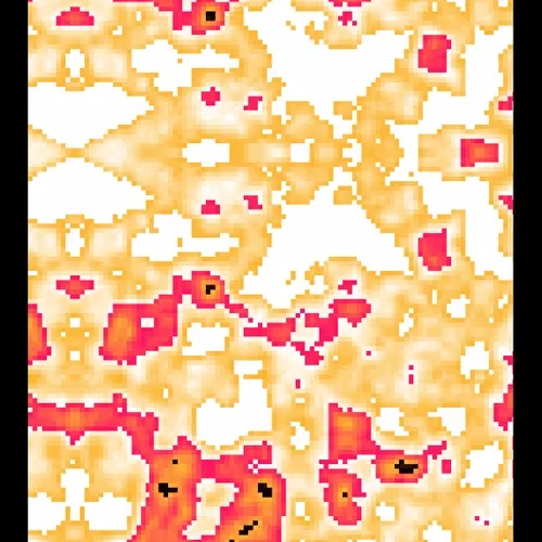 presidential artwork