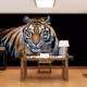 wealthytiger