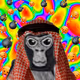 samda V2