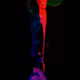Manifestor
