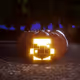 Normal Pumpkin