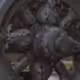 Popa