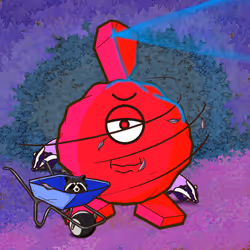 558