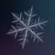 Snowflake - psE77c3iEU