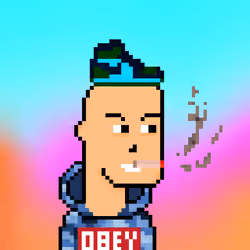 RadarPunks #300