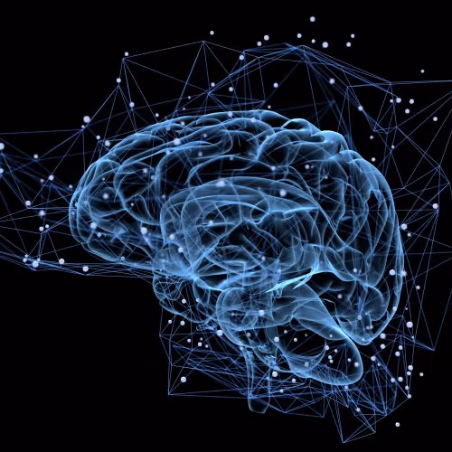 BRAINY WAINY