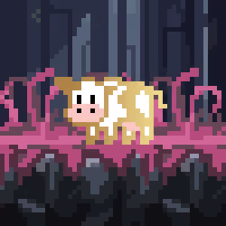 COW #4905