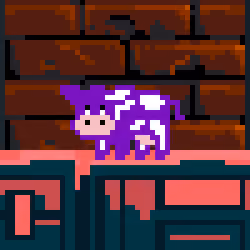 COW #8557