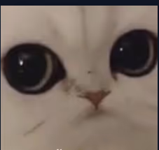 S1